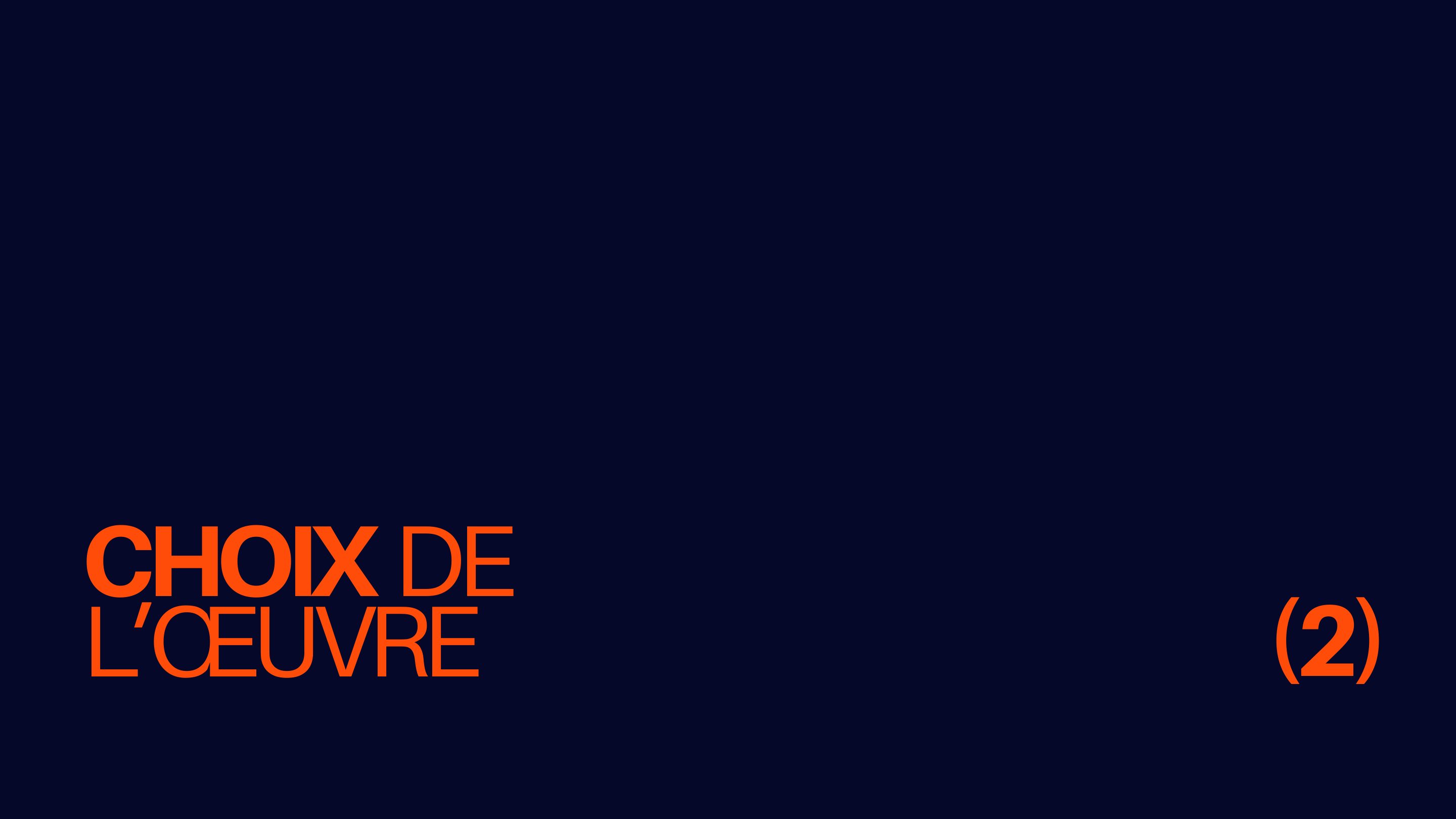 Choix de l'oeuvre
